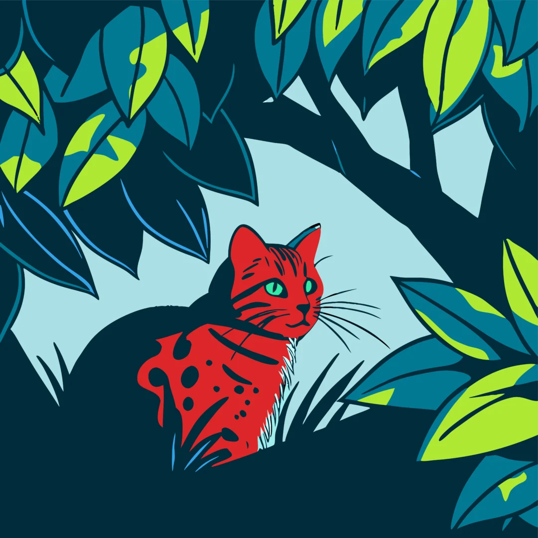 A Tiny Wild Cat Surprises Scientists in Bolivia