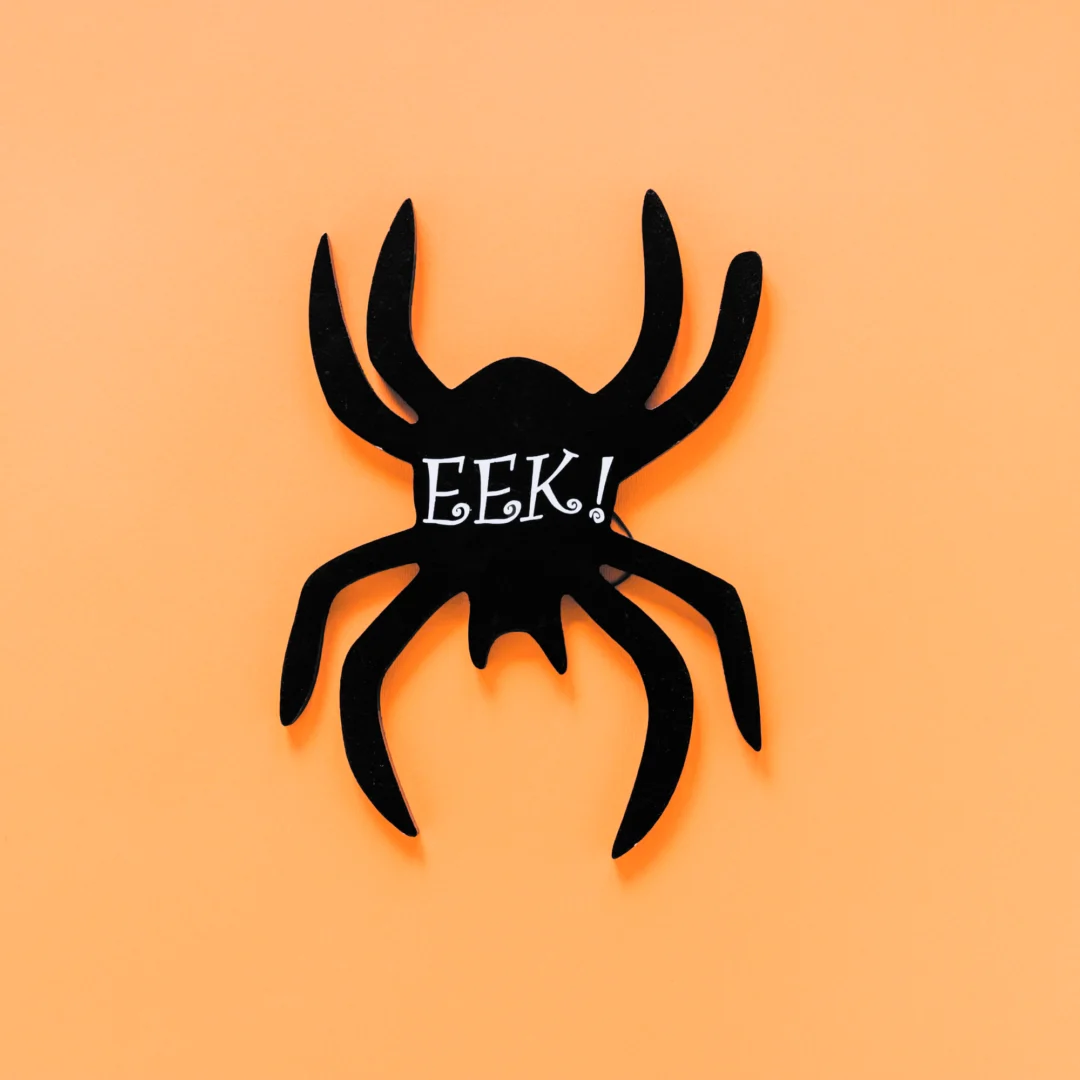 Two New Sea Spiders Found Off B.C., Just in Time for Halloween
